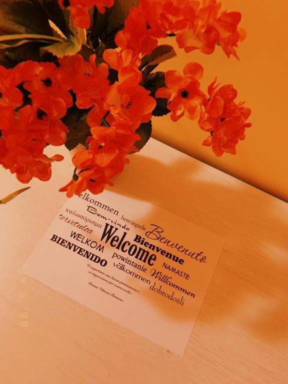 Vatican City Accommodation Roma Ngoại thất bức ảnh
